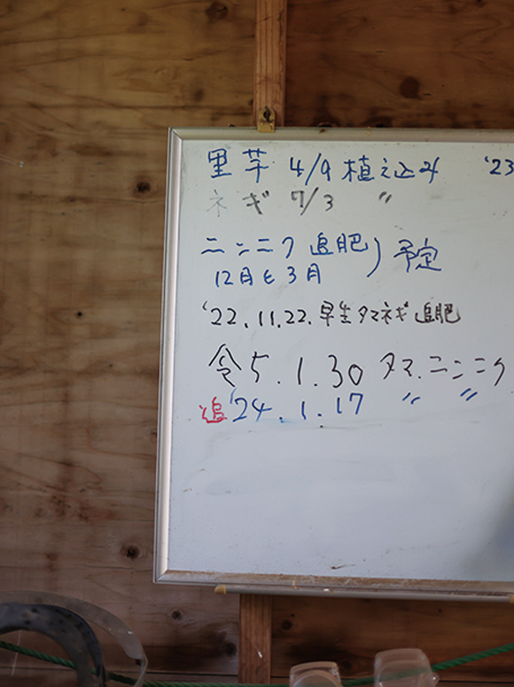 画像1: つくって、食べて、畑と台所をつなぐ「ふたりの食卓」東京から福岡・能古島（のこのしま）へ移住して、15年目のふたり暮らし／エッセイスト・檀太郎さん、晴子さん