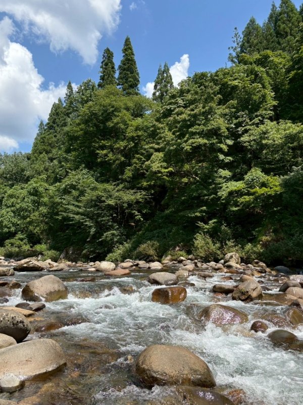 画像1: 秘密の川と、幻の魚―私の夏休み―