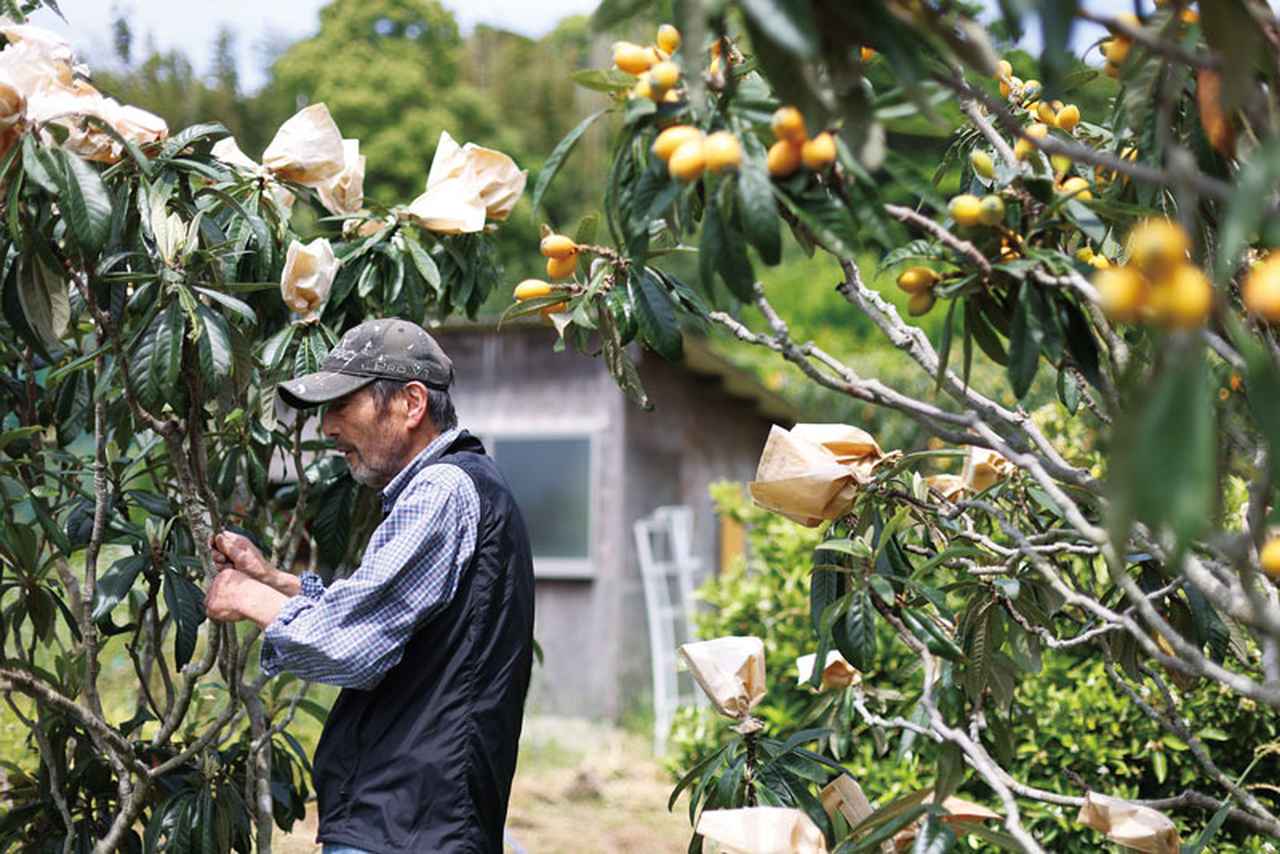 画像: つくって、食べて、畑と台所をつなぐ「ふたりの食卓」東京から福岡・能古島（のこのしま）へ移住して、15年目のふたり暮らし
