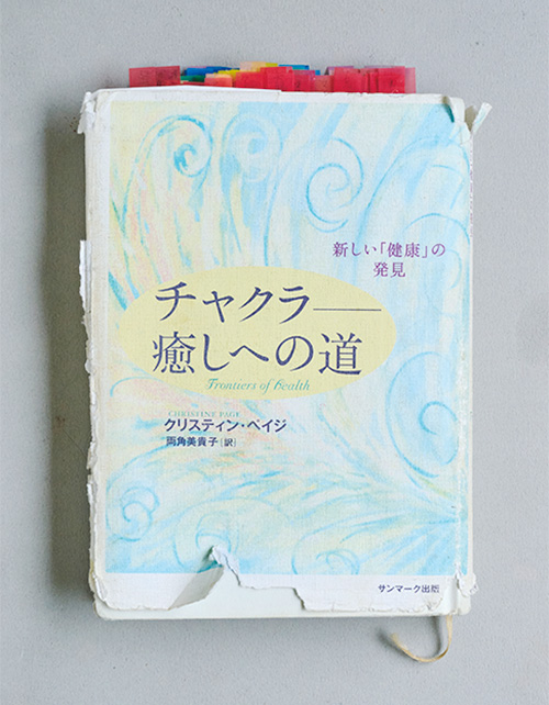 画像: バイブルのような本
