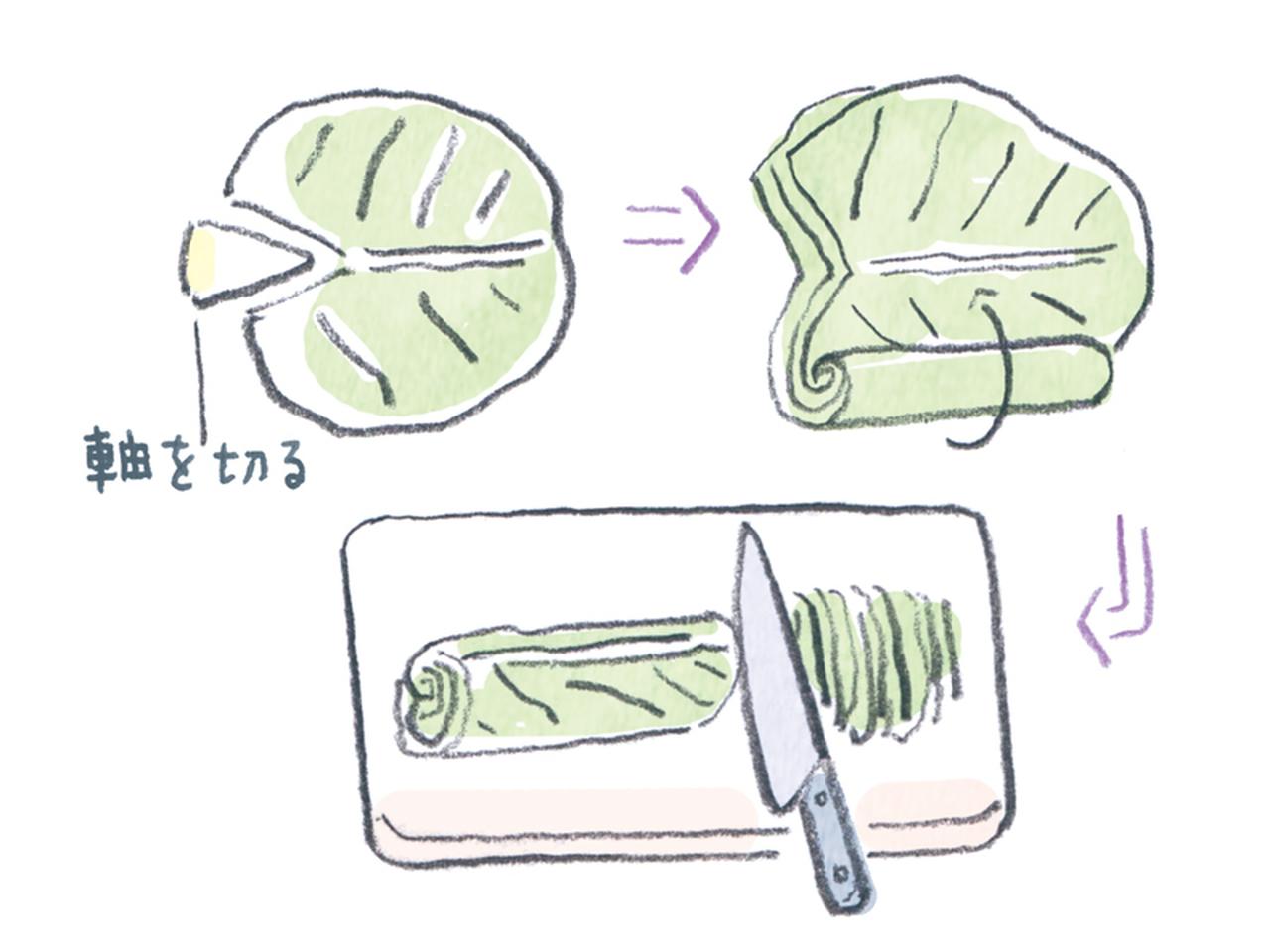 画像: 「ふわふわキャベツ」の切り方|本田明子さん
