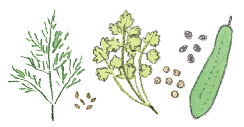 画像: ［趣味］ 庭の植物の種は、欲しい人にどんどん譲る