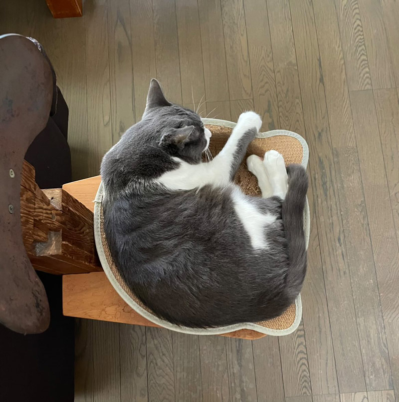 画像2: 臆病だけど、愛おしい