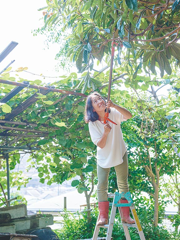 画像: 脚立に上がって鈴なりのびわを収穫する、初代理事長の藤田慶子さん。メンバーの親たちにとって、頼りになる話し相手