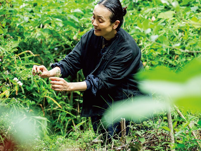 画像: ハーブや野菜は料理に、飲み物にとさまざまに活用。「自生している山菜や葉っぱも食べています。春はタンポポの葉がおいしいですよ」