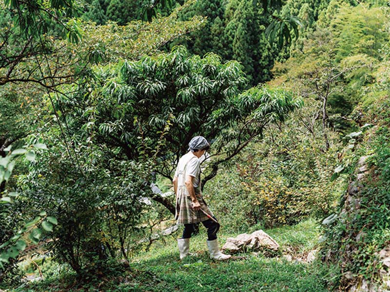 画像: 早朝から山の斜面を行き来して葉っぱの様子を確認。「朝だけで6000歩は歩きます。自然と足腰が鍛えられた」という健脚ぶり