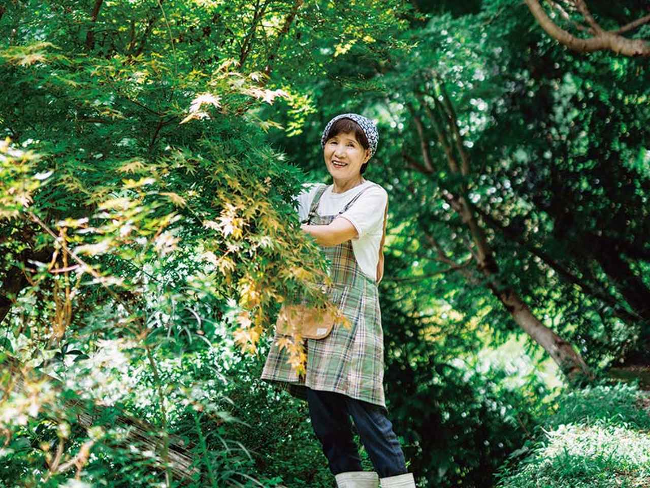 画像: 徳島・上勝町の「葉っぱビジネス」を訪ねて。70代のおばあちゃんがいきいき働く“年商2億円超え”のつまものブランドとは