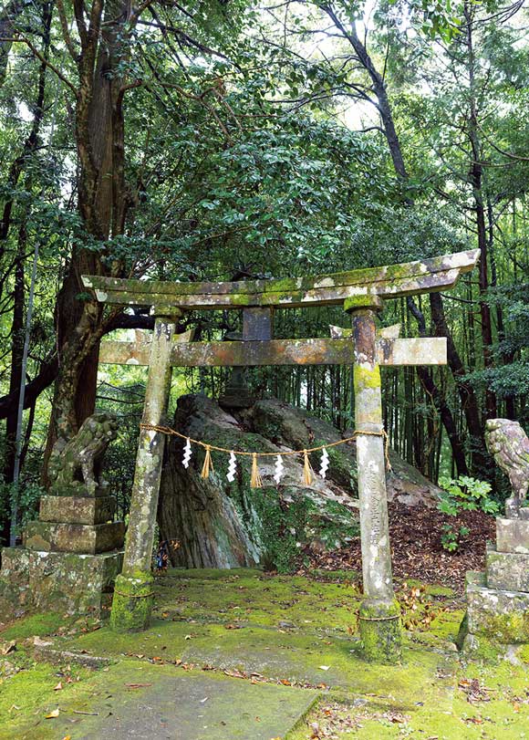 画像: 村の氏神様のひとつ「大元神社」は、早川さんのお気に入りスポット。「みんなで境内の掃除をすると、なんだか気持ちもすっきりするんです」