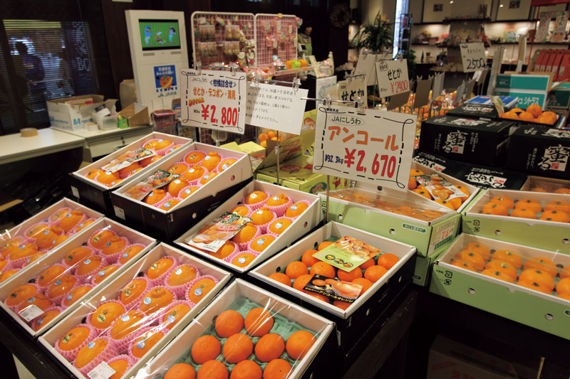画像: 「アゴラマルシェ」では、南予・西宇和地域産の柑橘、果物、野菜などを販売する
