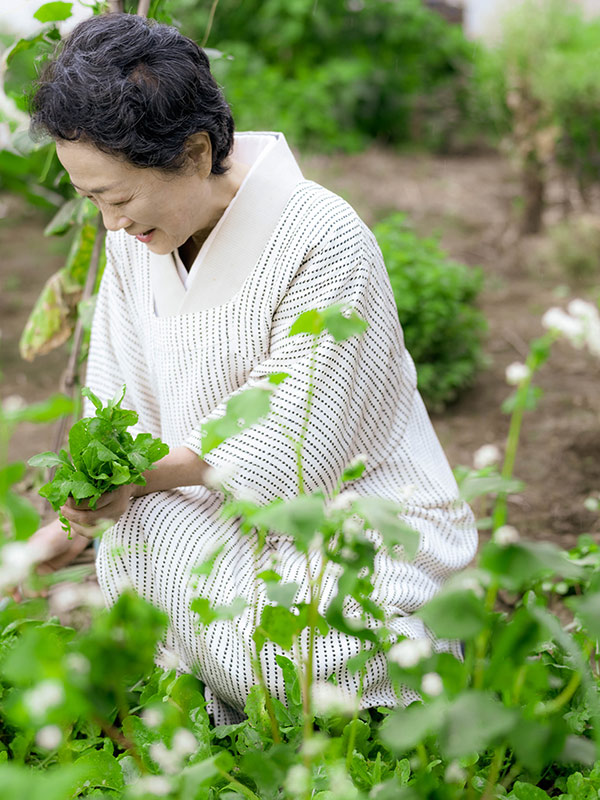画像: こぼれ種から育ったルッコラを摘んで