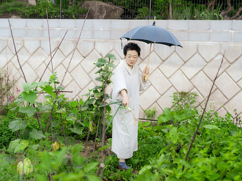 画像: 豊かに茂る、横山さんの「ポタジェ」。「あくまで素人ですから、完璧は求めず楽しむことをいちばんに。室内を彩る四季の花も、ここでずいぶん得られるようになりました」