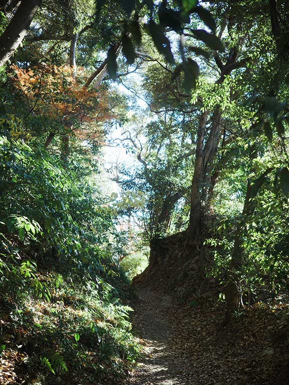画像: 秋の鎌倉は子どもと手軽な山登り