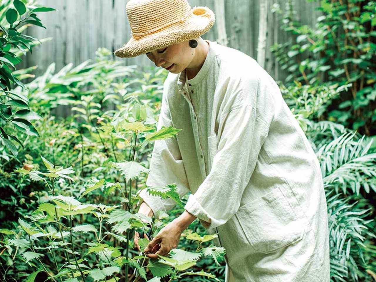 画像: 京都・西陣の町家で17年。ご近所と分かち合う「やさしい日常」食べものも、暮らしの道具も、子育ても“楽しいことは倍に、つらいことは半分こ”／手づくり暮らし研究家・美濃羽まゆみさん - 天然生活web