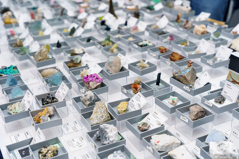画像: グレーの標本ケースでコーディネートされた、標本系の見本のようなブースでした