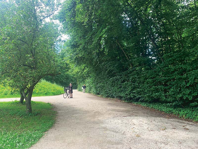 画像: サステナブルなアイデア 05 移動は自転車で