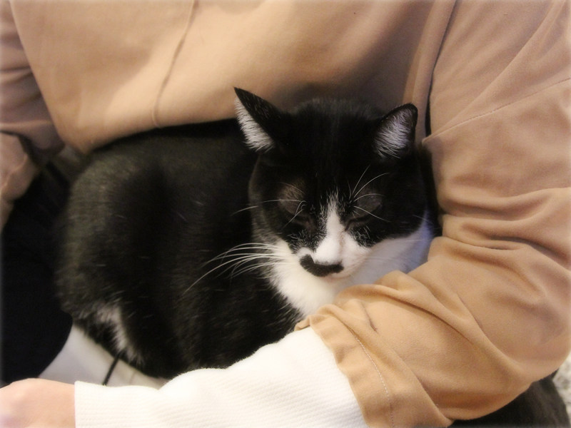 画像: 夫の膝争奪戦を勝ち抜いた「全」