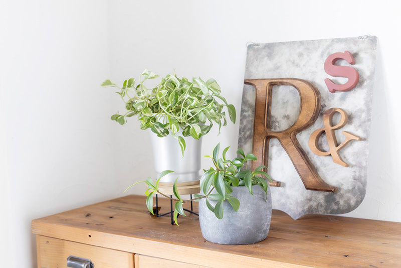 画像: 光の反射で少しずつ変わるトーン。無機質なのに、どこか温かさを感じます