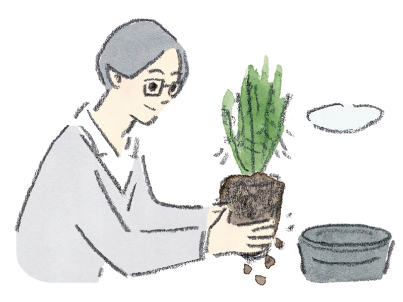 画像: 土に触れる