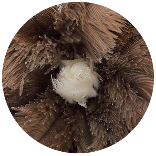 画像5: 掃除が楽しくなる「羽はたき」のおすすめ6選。出しっぱなしでも部屋になじむ“やさしいアイテム”でほこりも気分もすっきり／いいモノあうモノ