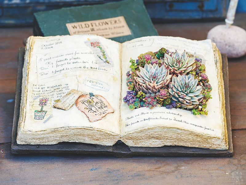 画像: 季節の寄せ植えレシピ 「読書の秋の寄せ植え」のつくり方