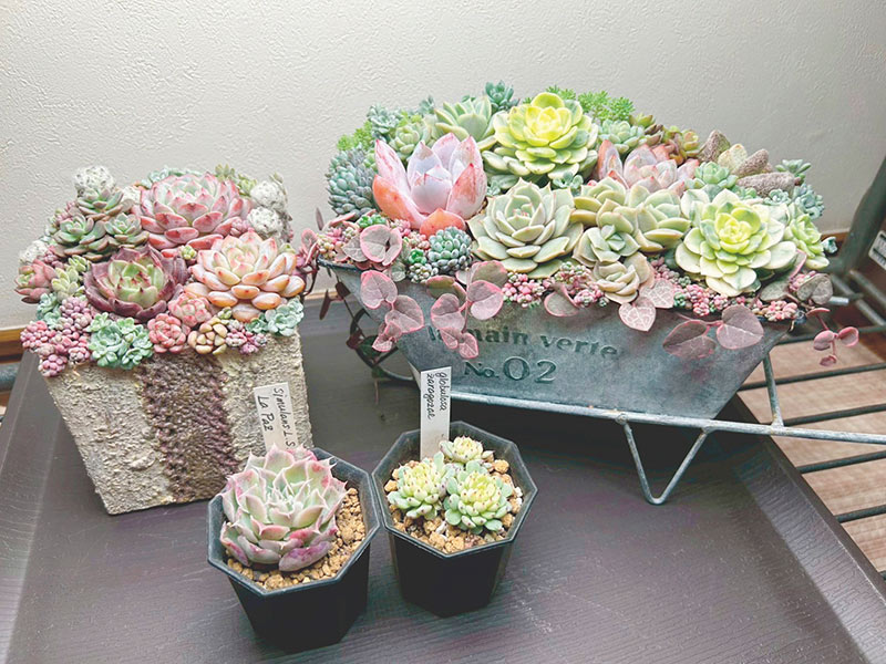 画像: 1日目の様子