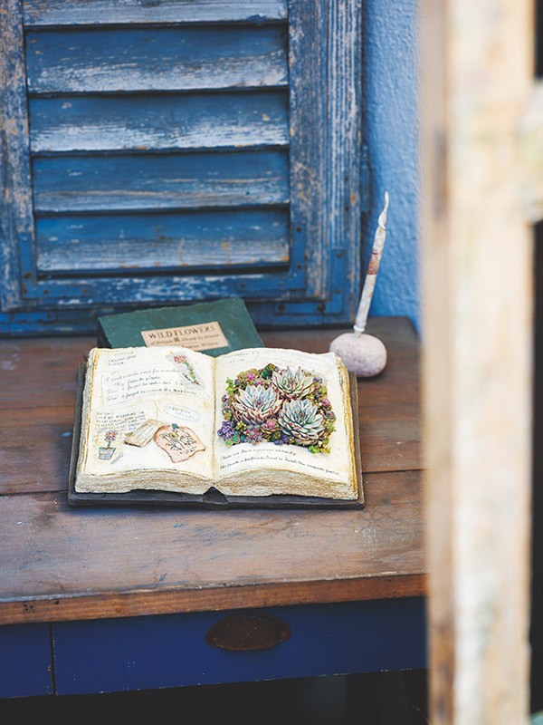 画像1: 季節の寄せ植えを楽しむ 「読書の秋の寄せ植え」