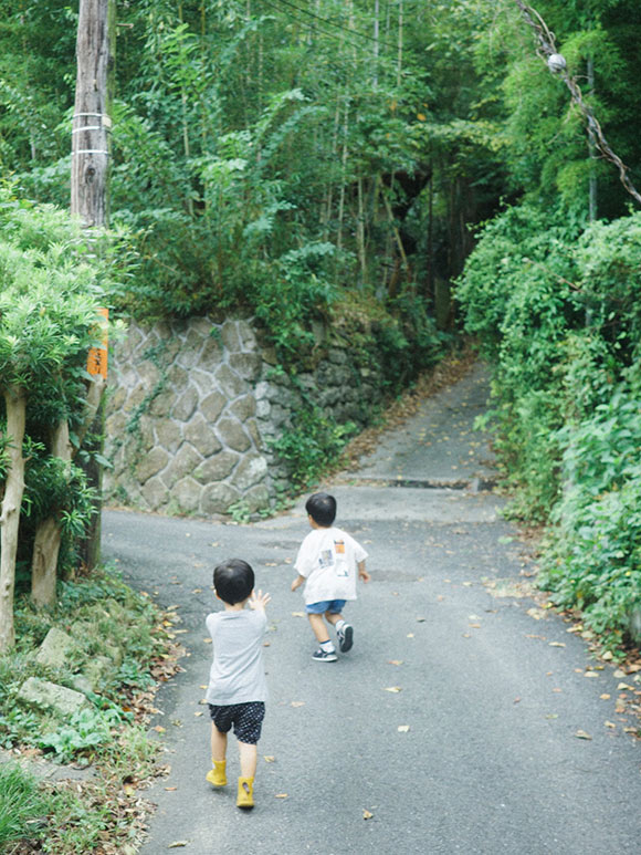 画像: 鎌倉山の麓は、まるでトトロの世界