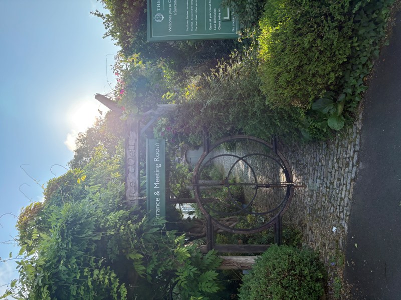 画像1: 植物の癒しの力「フラワーエッセンス」の使い方。心を奮いたたせたいとき、落ち着かせたいとき、よもやま・田中のり子さんのシーン別活用術