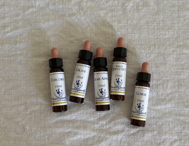 画像: 霧が晴れたような爽快さを味わった フラワーエッセンスと私の出合い