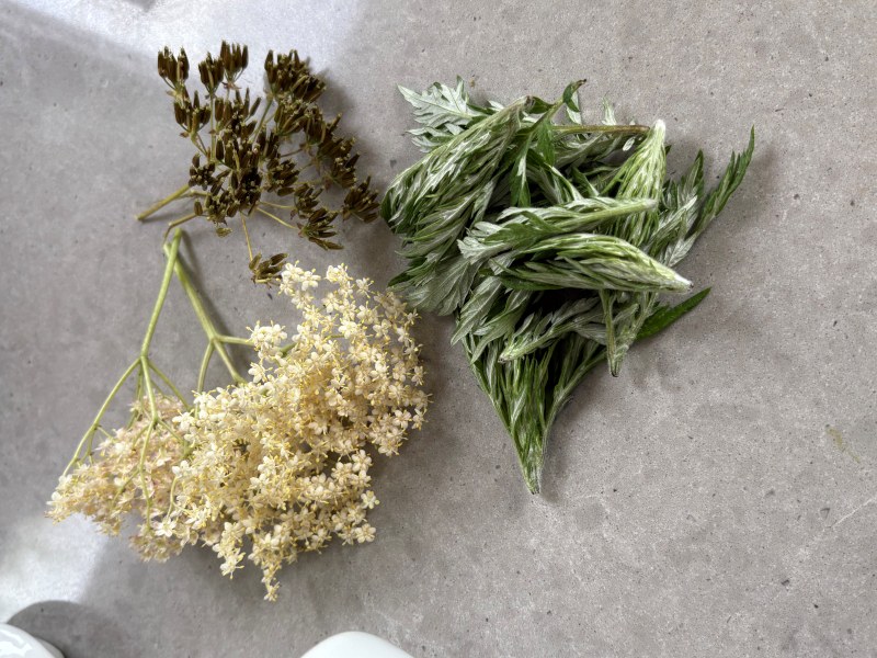 画像3: 植物の癒しの力「フラワーエッセンス」の使い方。心を奮いたたせたいとき、落ち着かせたいとき、よもやま・田中のり子さんのシーン別活用術