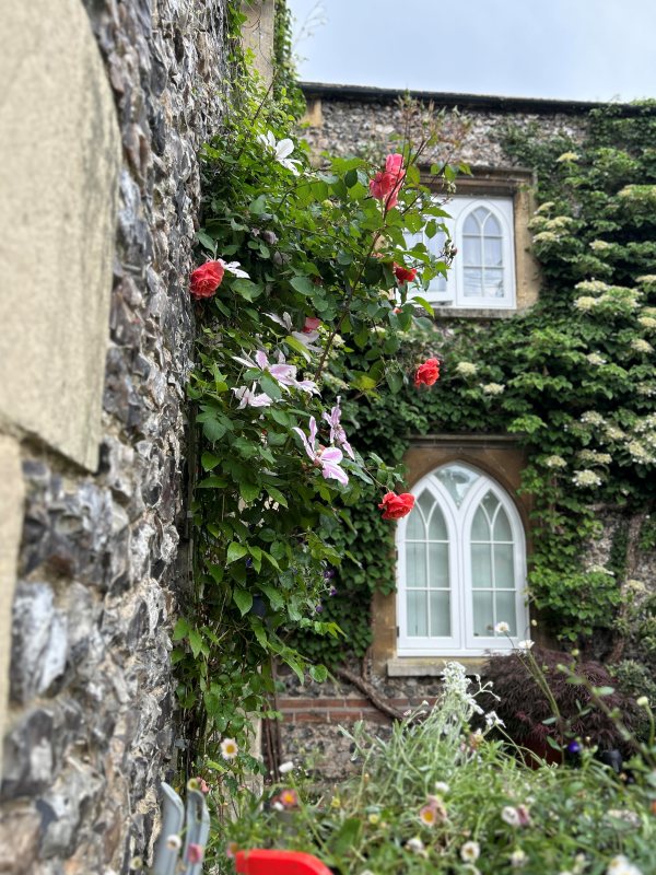 画像4: 植物の癒しの力「フラワーエッセンス」の使い方。心を奮いたたせたいとき、落ち着かせたいとき、よもやま・田中のり子さんのシーン別活用術