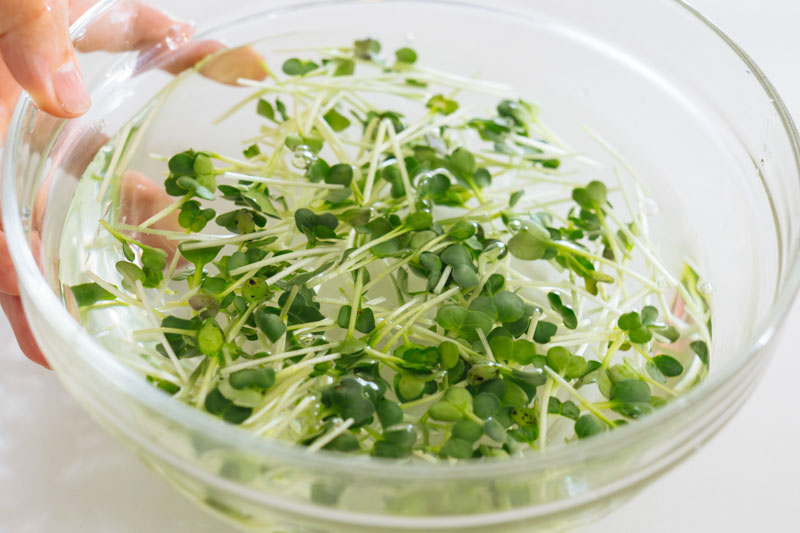 画像7: つくり方