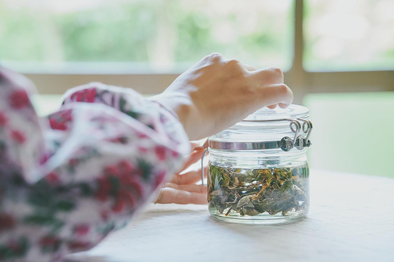 画像: かんたん「ドクダミチンキ」のつくり方。いちばん身近な“梅雨の薬草”ドクダミを楽しむ|鎌倉山からのセルフケア便り/七緒 - 天然生活web