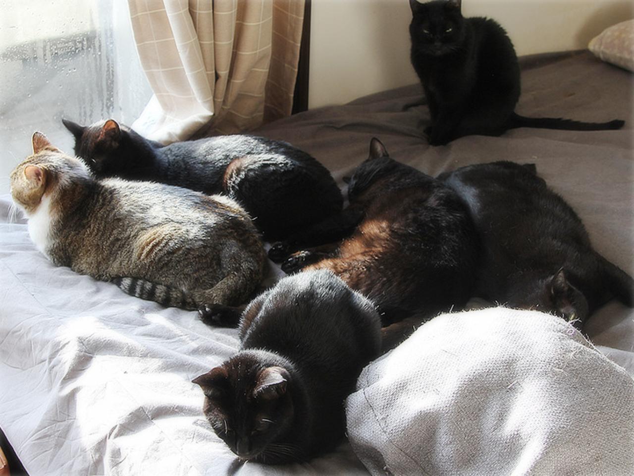 画像: みんなでホカホカに