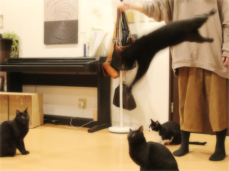 画像: 大ジャンプ！