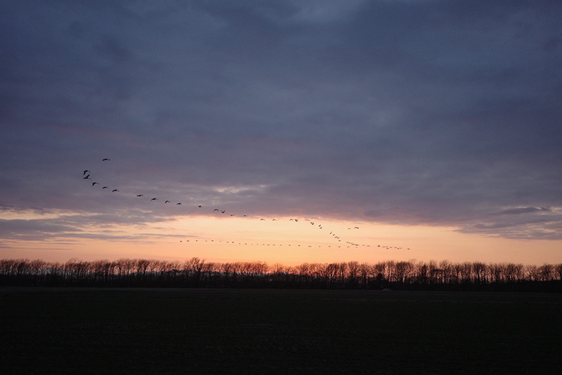 画像1: 自然との共生のためにできることは