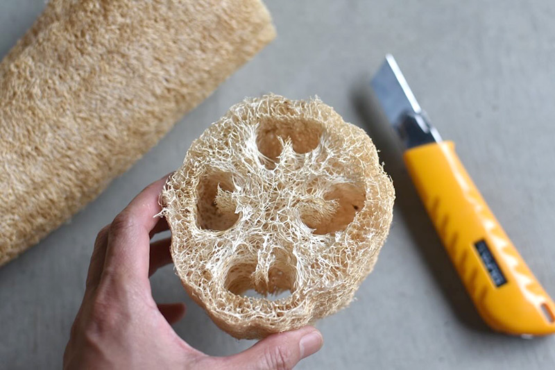 画像: まずは輪切りにして、ほどよい長さに