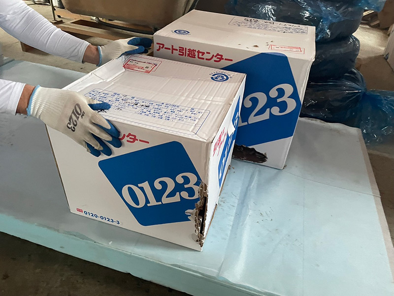 画像: 保管していたダンボールにも同様のあとが