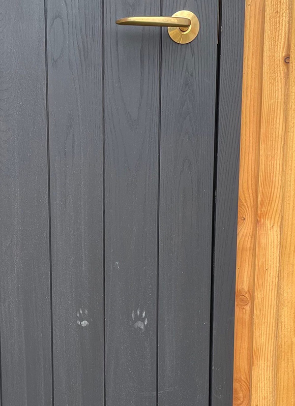 画像1: 北海道で考えた“動物と共に生きる”暮らし