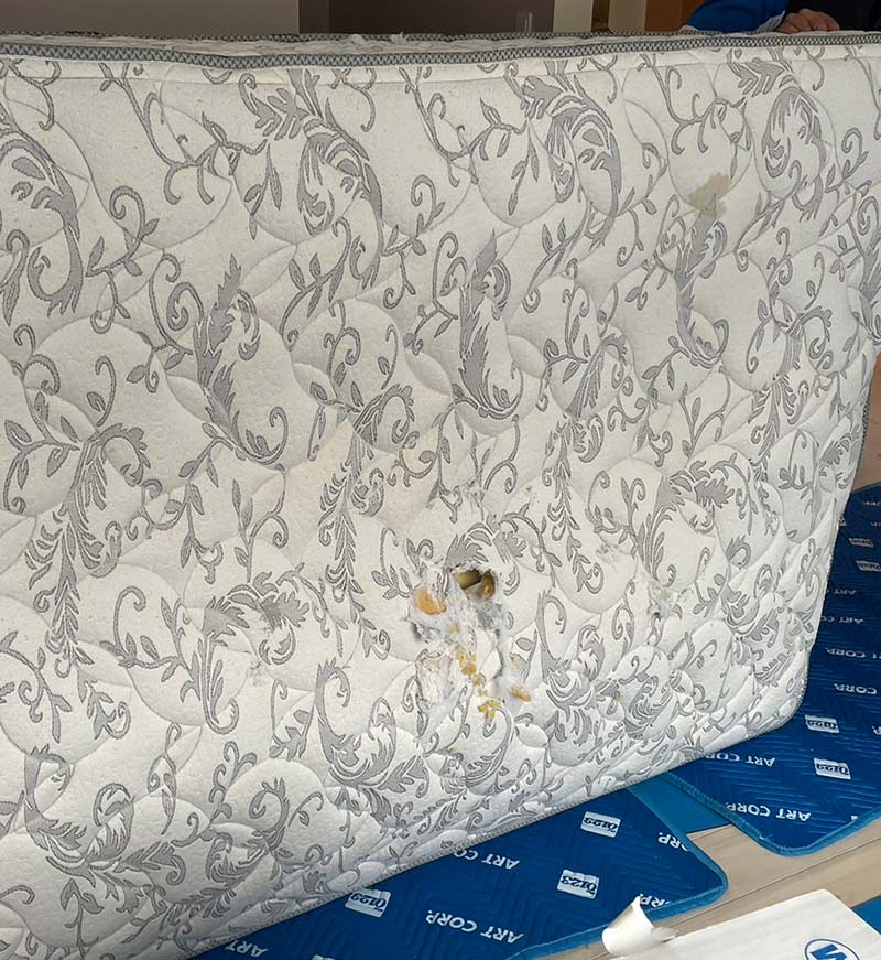 画像2: 北海道で考えた“動物と共に生きる”暮らし