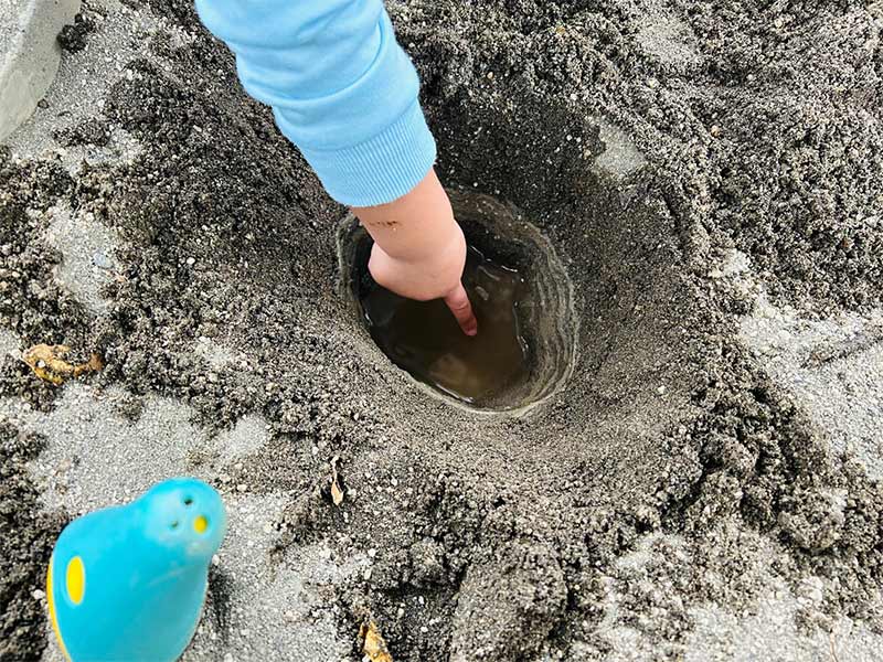 画像3: 変わらない“感動のおいしさ”で湧き上がるレンコン畑の思い出