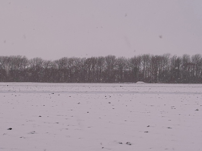 画像3: 自然との共生のためにできることは