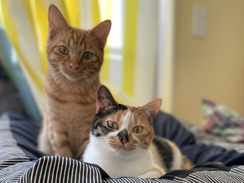 画像: 小さな親子との出会い