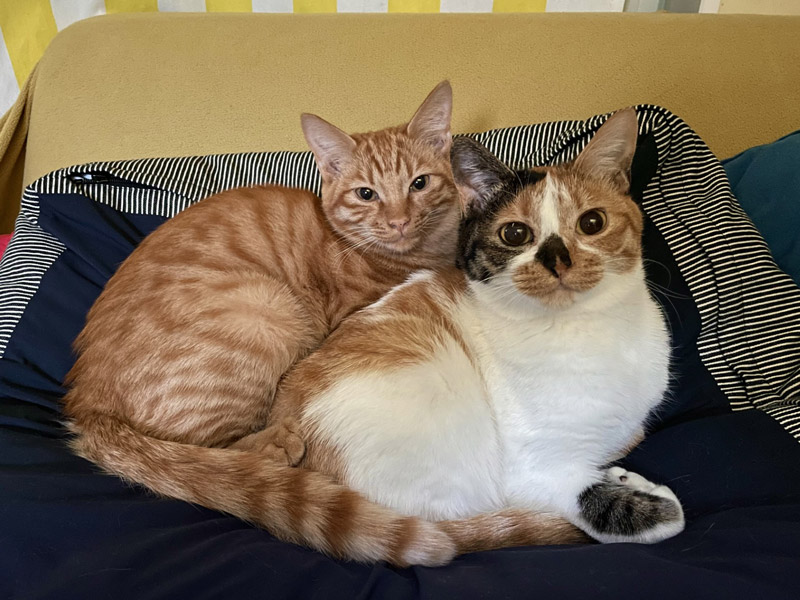 画像3: 冬になって、ぎゅっと近くに