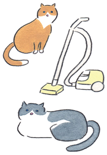 画像: ３．ほうきメインの掃除