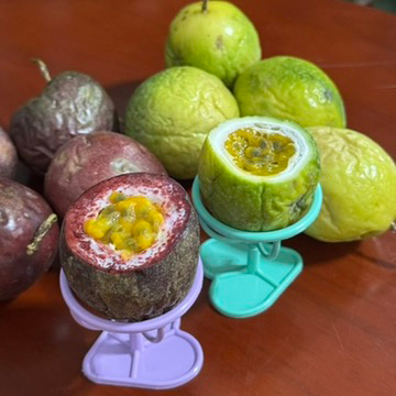 画像: 雲南地方から取り寄せたパッションフルーツ。緑のものは酸味を抑えた甘みが特徴の新種
