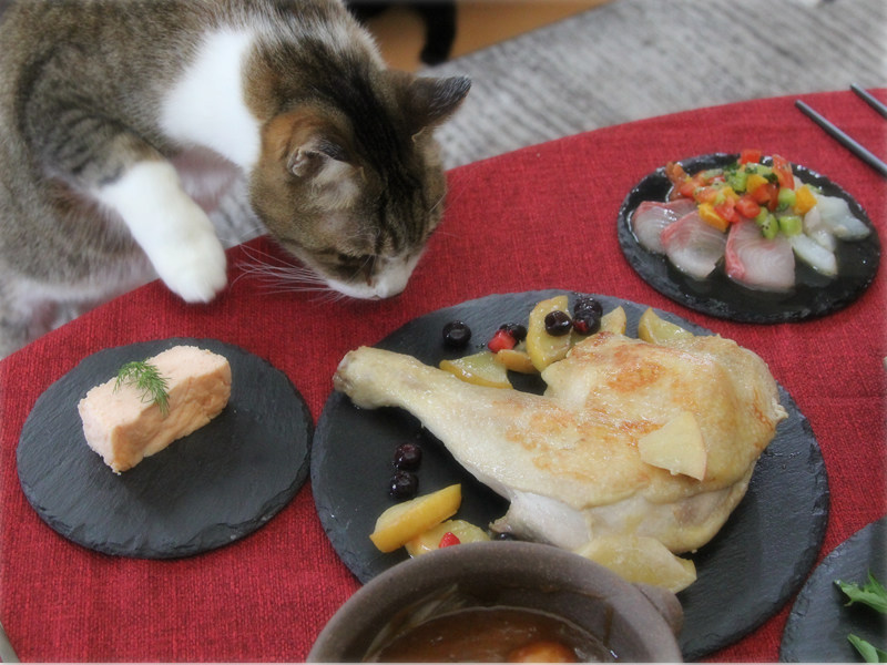 画像: こちらはごちそうに興味津々の「でかお」