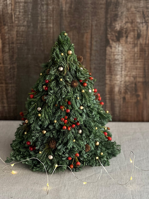 画像: 赤い実が愛らしいブルーバードのツリー