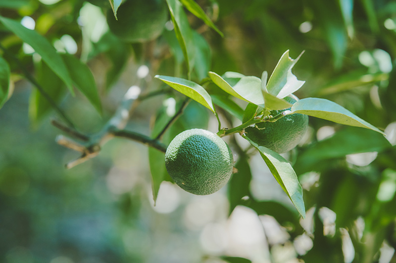 画像: 心地よさの源は「ままならなさ」