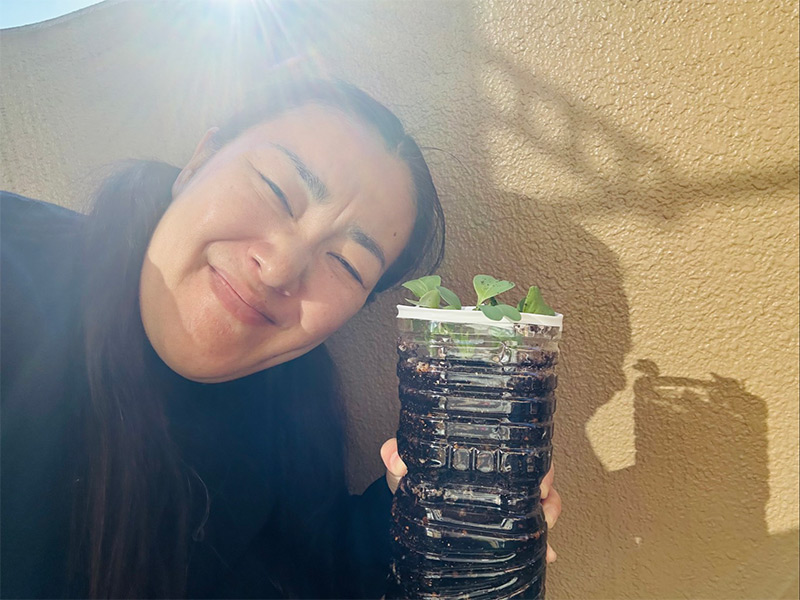 画像1: 光浦さんもお気に入り。わが家のペットボトル大根に芽が出ました